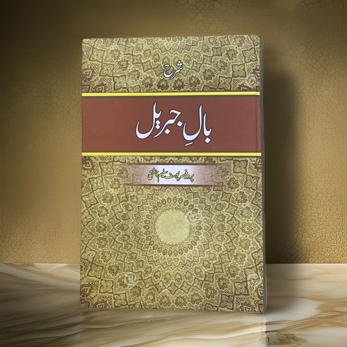 Sharah Baal-E-Jibreel | شرح بالِ جبریل - Prof. Yousaf Saleem Chishti