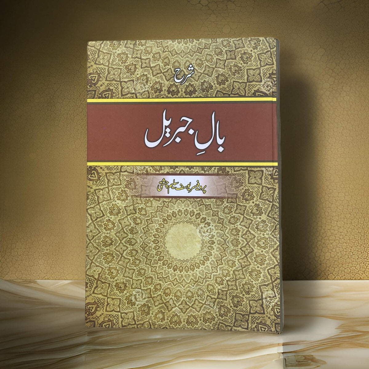 Sharah Baal-E-Jibreel | شرح بالِ جبریل - Prof. Yousaf Saleem Chishti