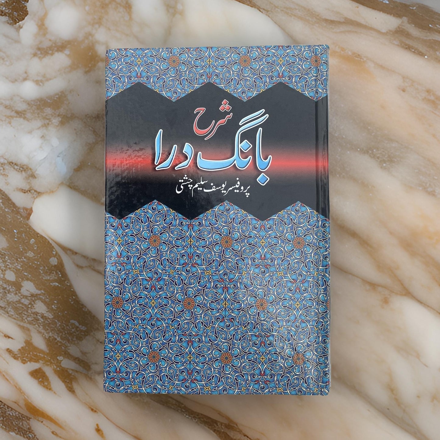 Sharah Baang-E-Dara | شرح بانگِ درا - Prof. Yousaf Saleem Chishti